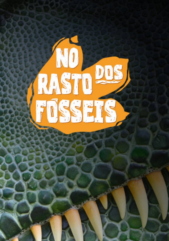 Arte do projeto No Rasto dos Fósseis
